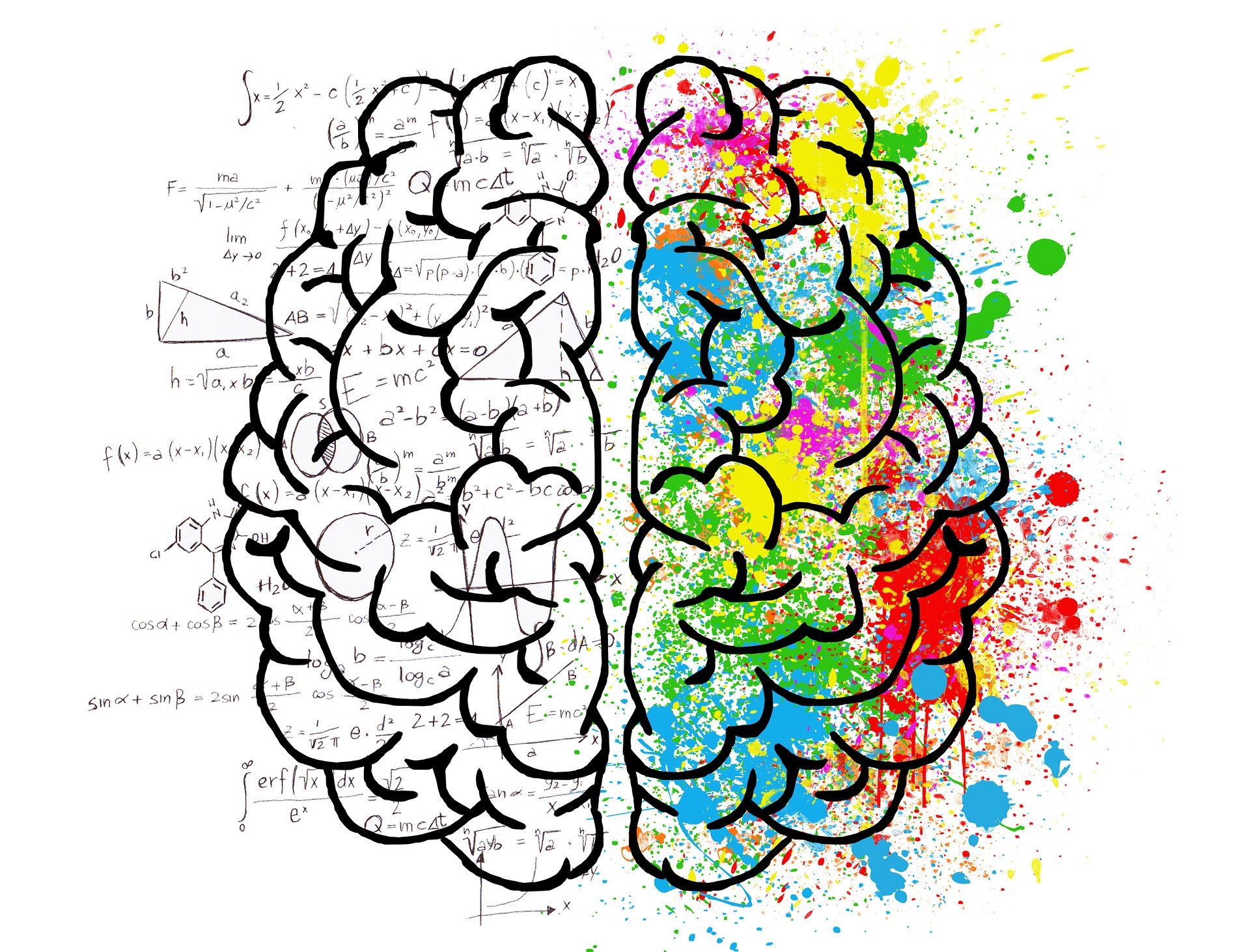 An image of a human brain with one half in black and white with a bunch of science and math symbols (representing the logic brain) and the other half painted in rainbow colours.